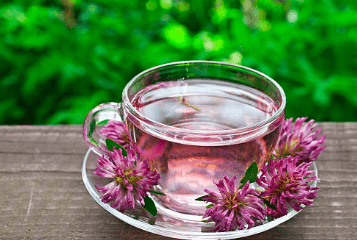 우엉차 효능 10가지 및 부작용