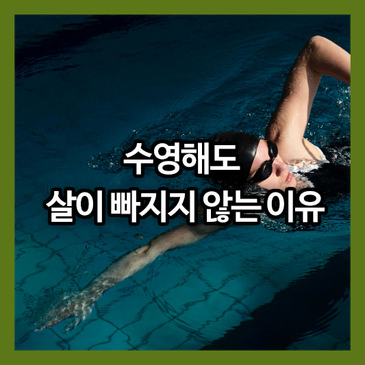 수영해도 살이 빠지지 않는 진짜 이유와 효과적인 다이어트 방법
