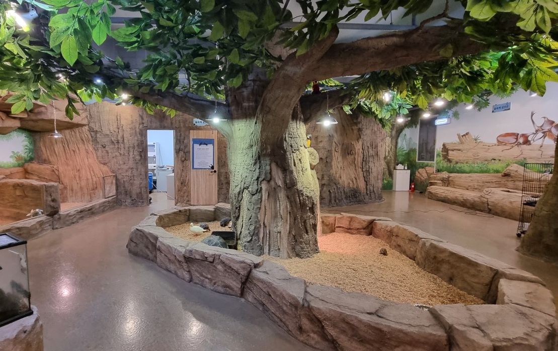 쥬벅스 앤 쥬니멀