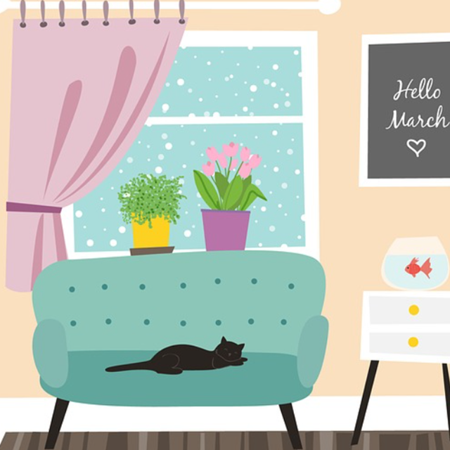 청년월세한시특별지원