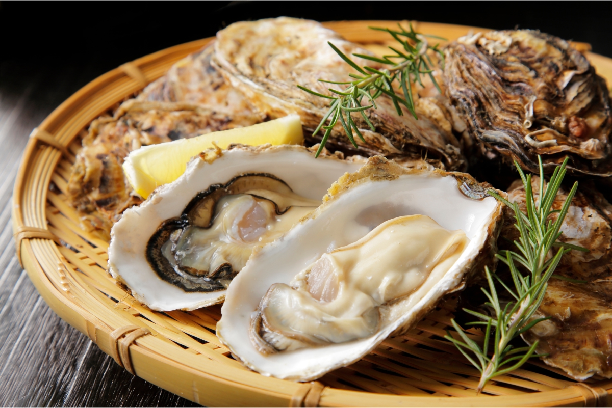 11월 제철 해산물 수산물 굴