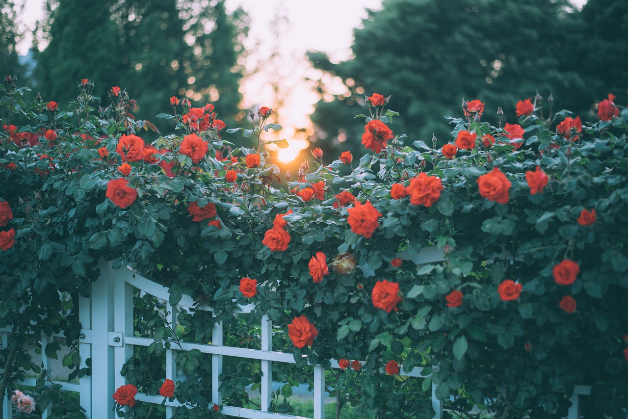 국립현대미술관 과천관