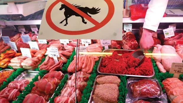 원산지 효과 Horsemeat Scandal