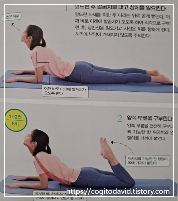 가슴-근육-스트레칭