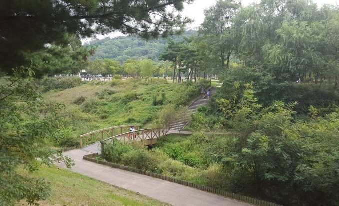 하늘공원 억새축제