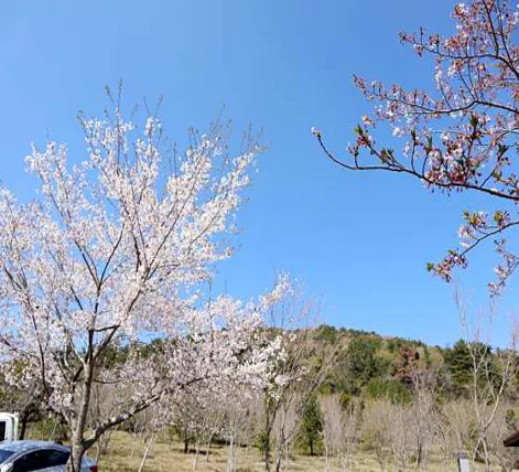 이승악