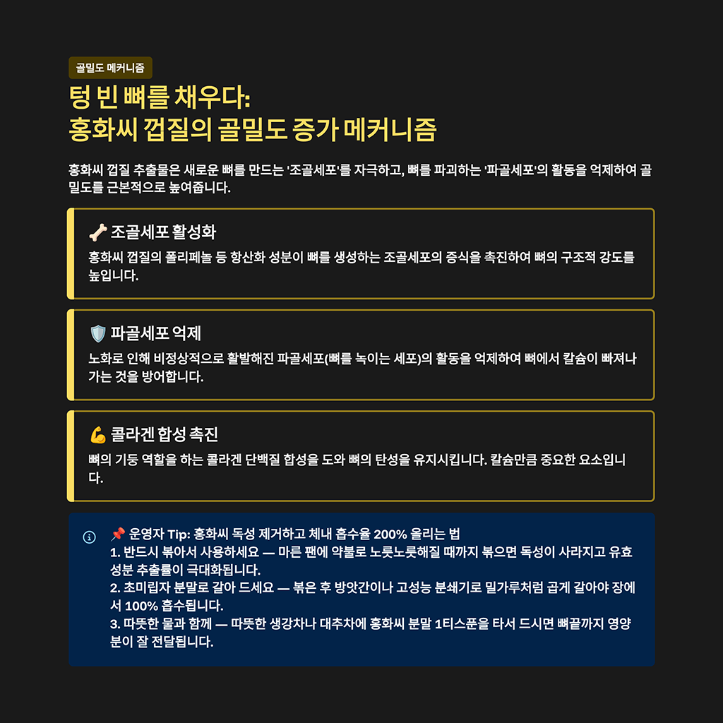 텅 빈 뼈를 채우다: 홍화씨 껍질의 골밀도 증가 메커니즘