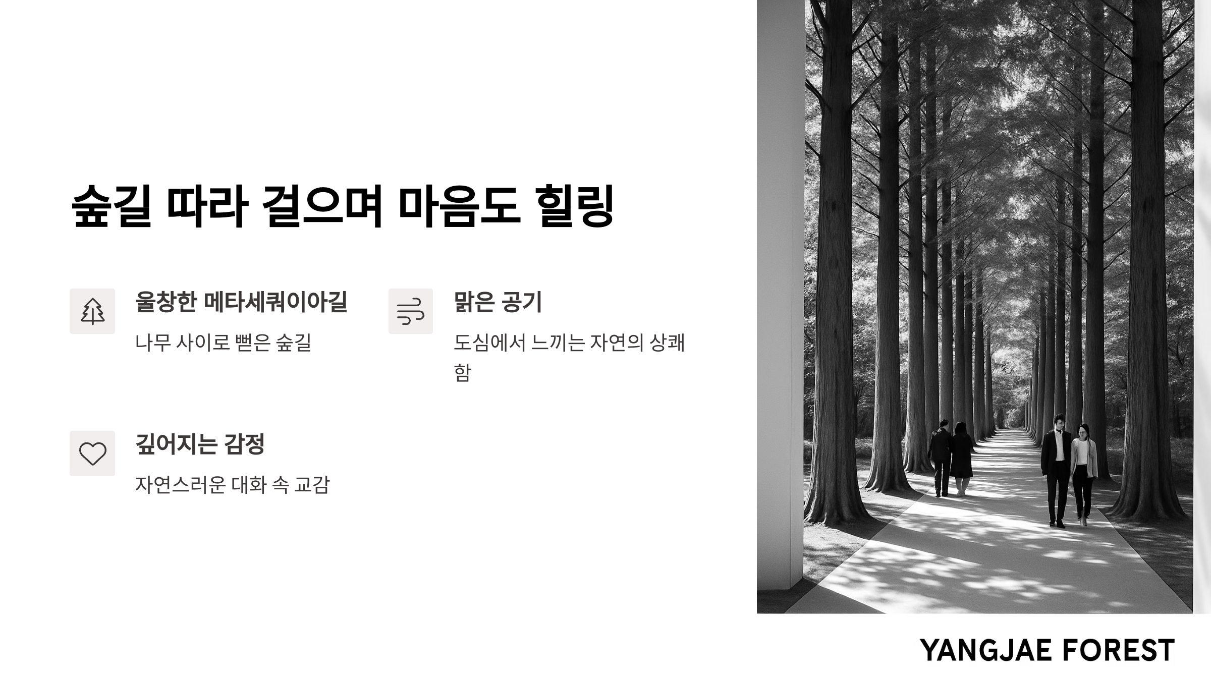 양재시민의숲-03