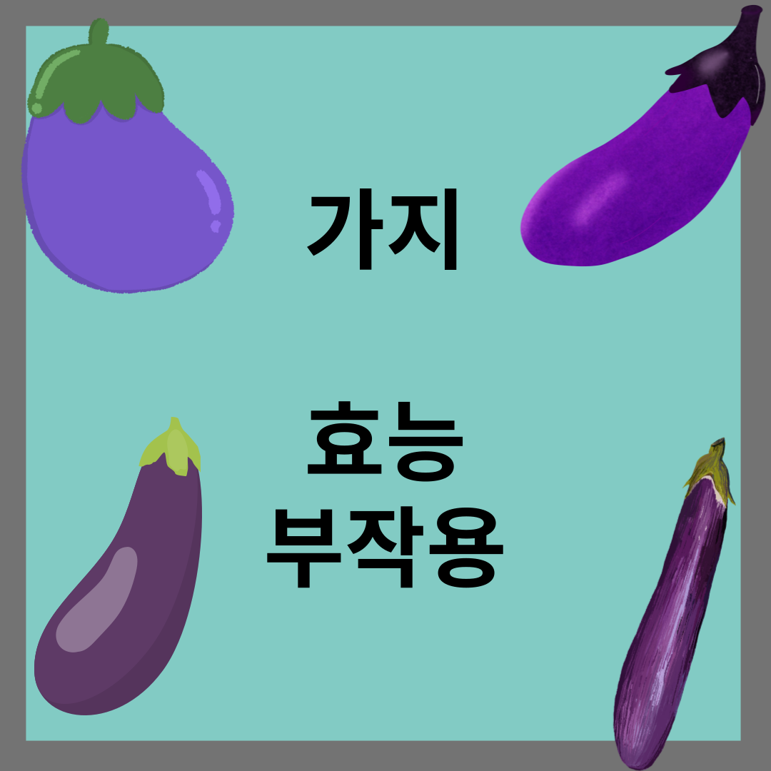 가지 효능 부작용