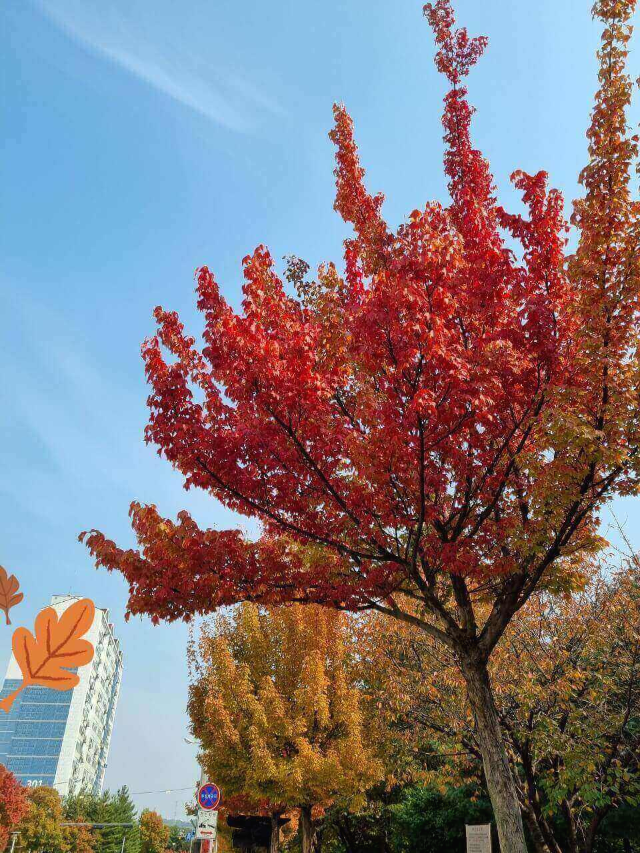 10월의 어느 멋진 날