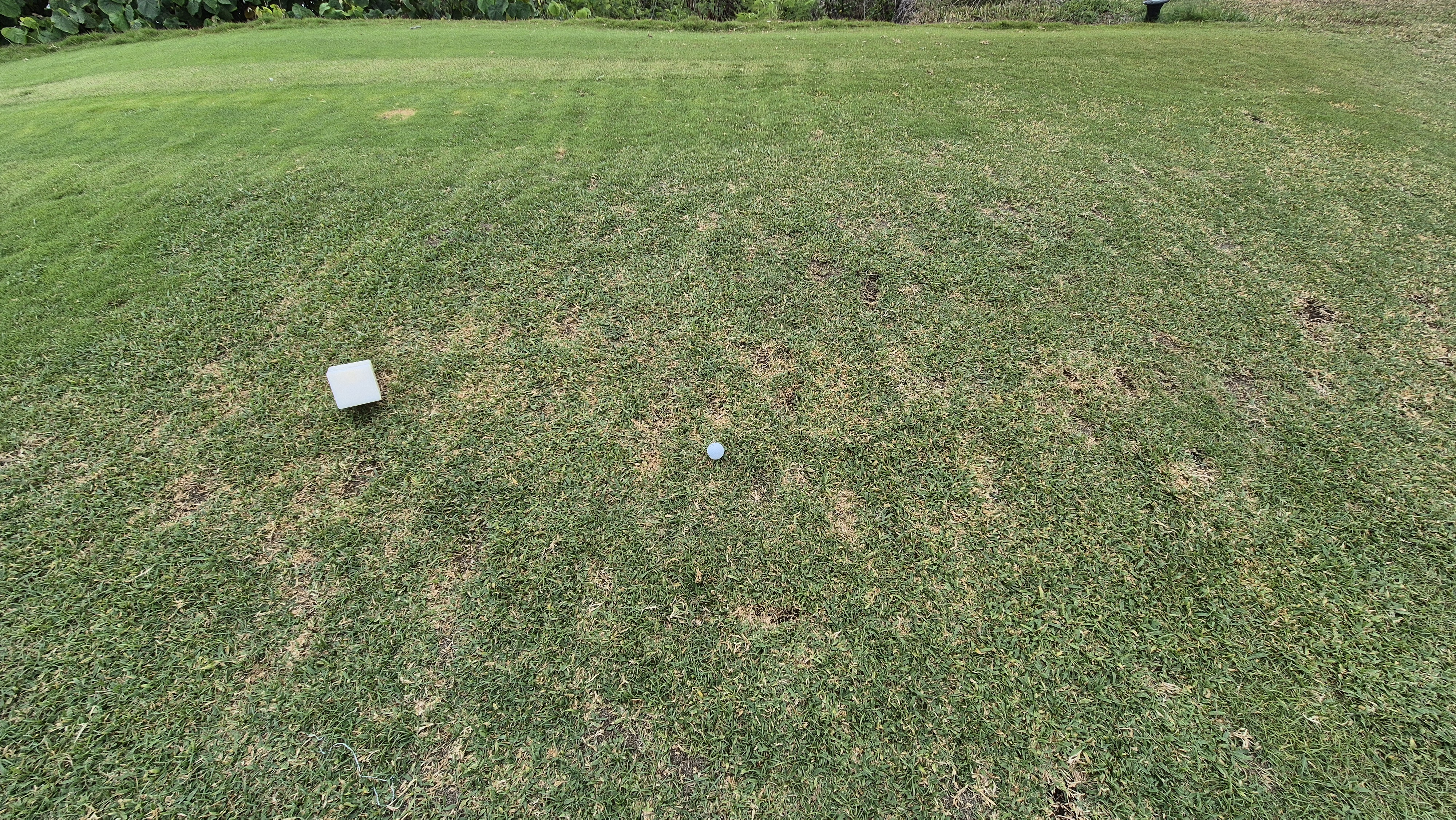 코랄오션cc 골프 라운드