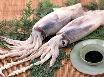 오징어 단백질 함량과 건강에 좋은 이유_2