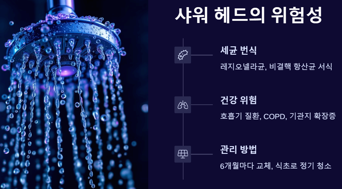 샤워 헤드의 위험성