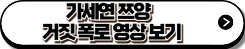 가세연 주장 영상 보기