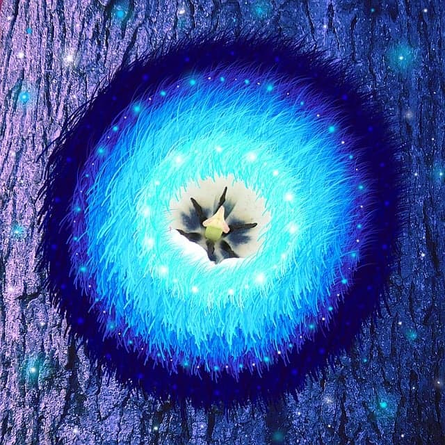 간 건강을 회복하는 자연 치유 식단과 생활 습관