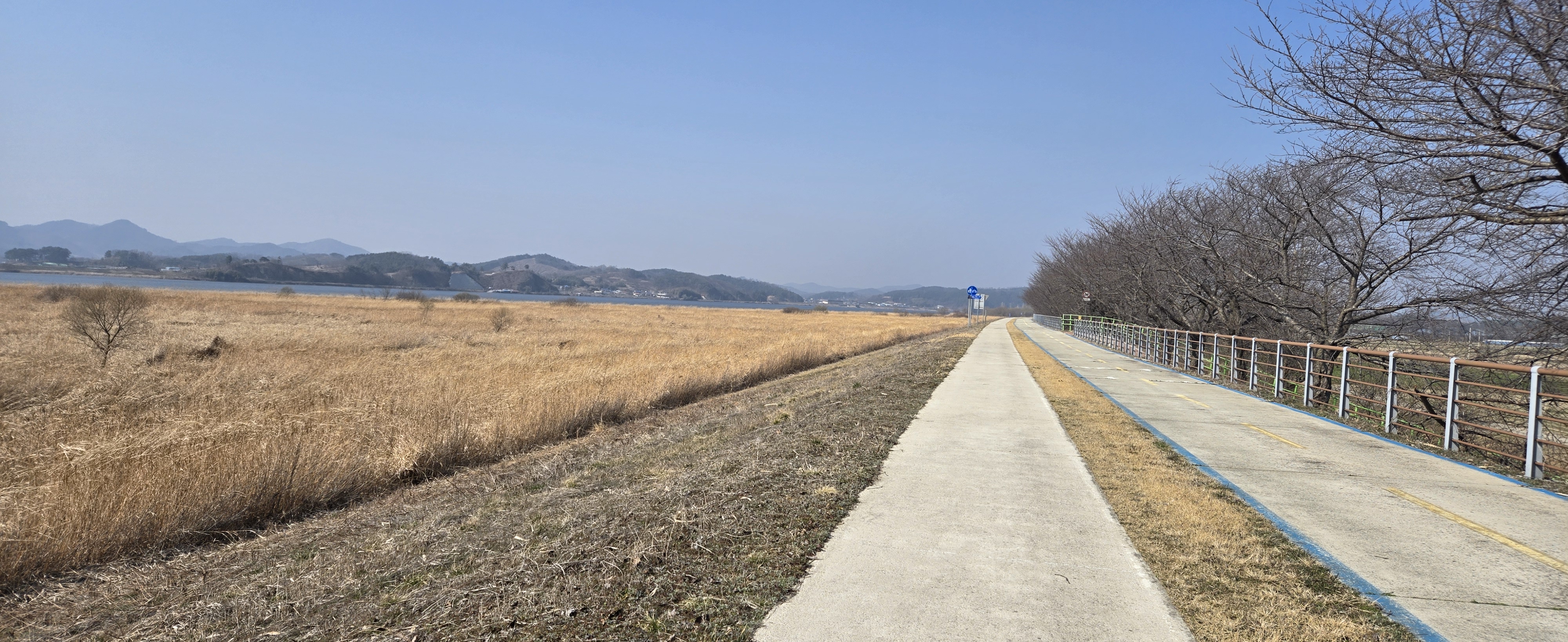군산 금강 갈대사진