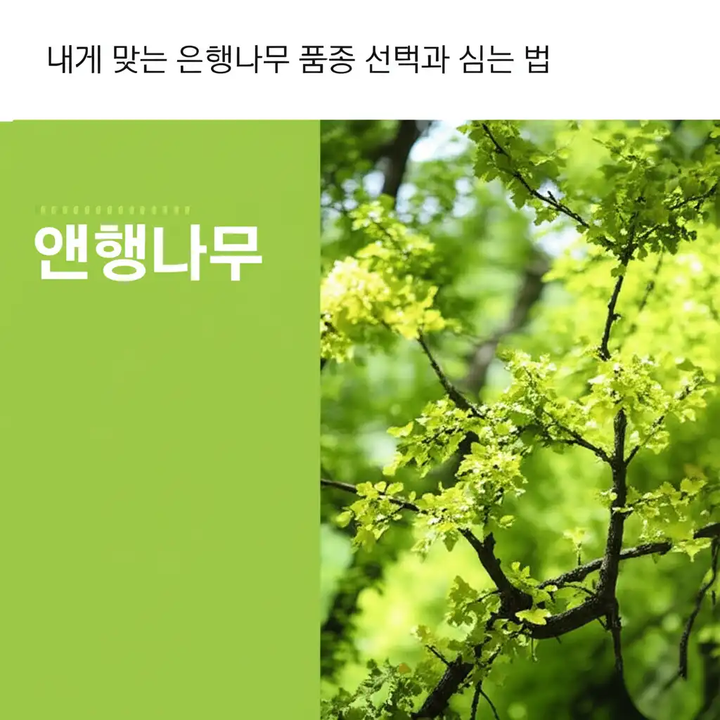 은행나무_choosing-planting