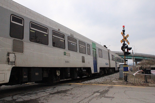 대중교통비 환급