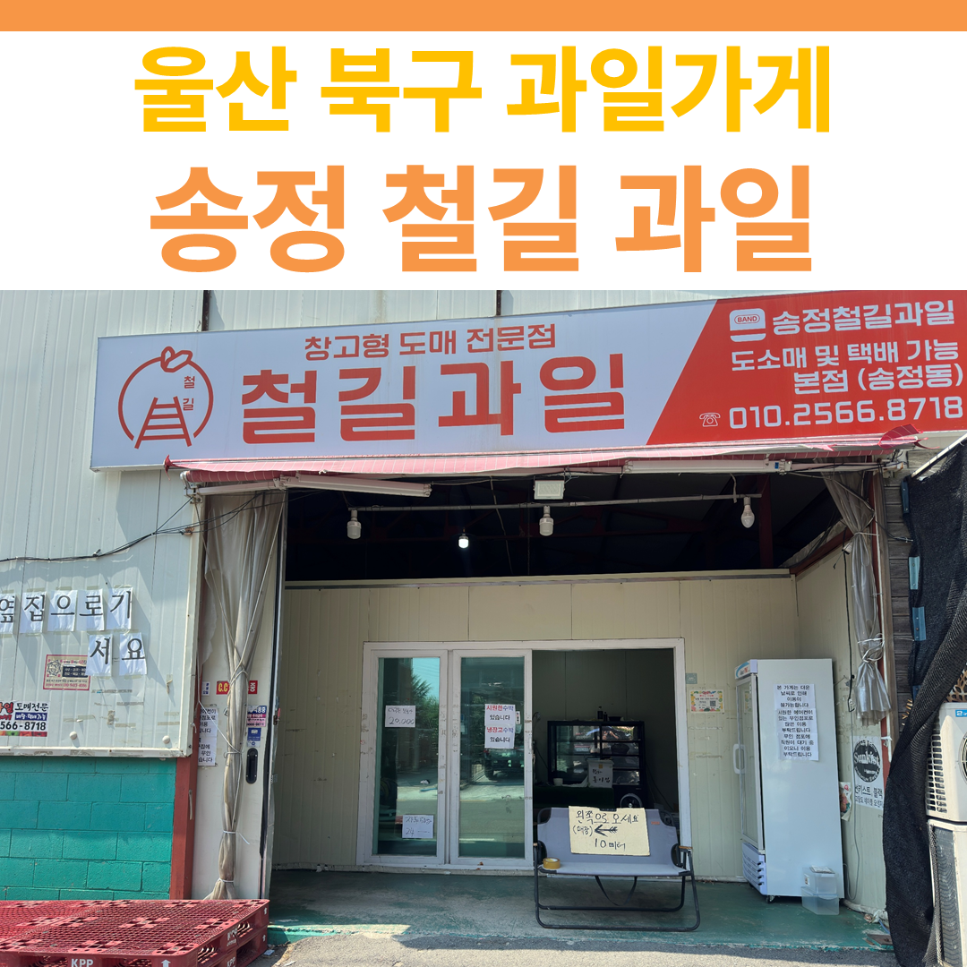 송정 철길과일 썸네일