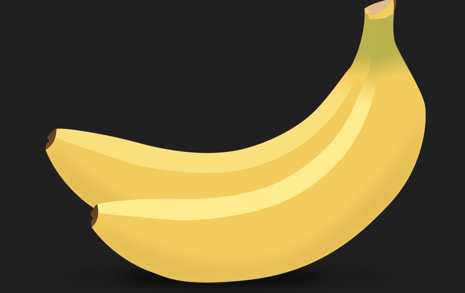 노랗게 잘 익은 바나나 두개가 붙어 있는 사진