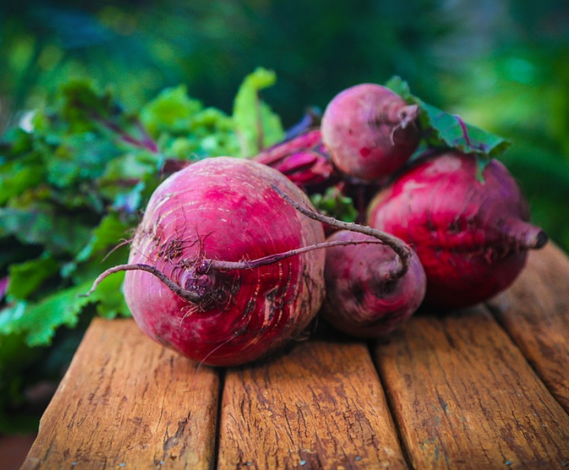 농업기술 사례 (농작물 관련 사진)