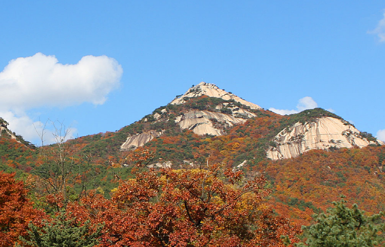 산들소리 수목원