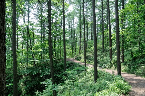 맨발걷기 효능 및 걷기 좋은 곳 TOP 5 추천