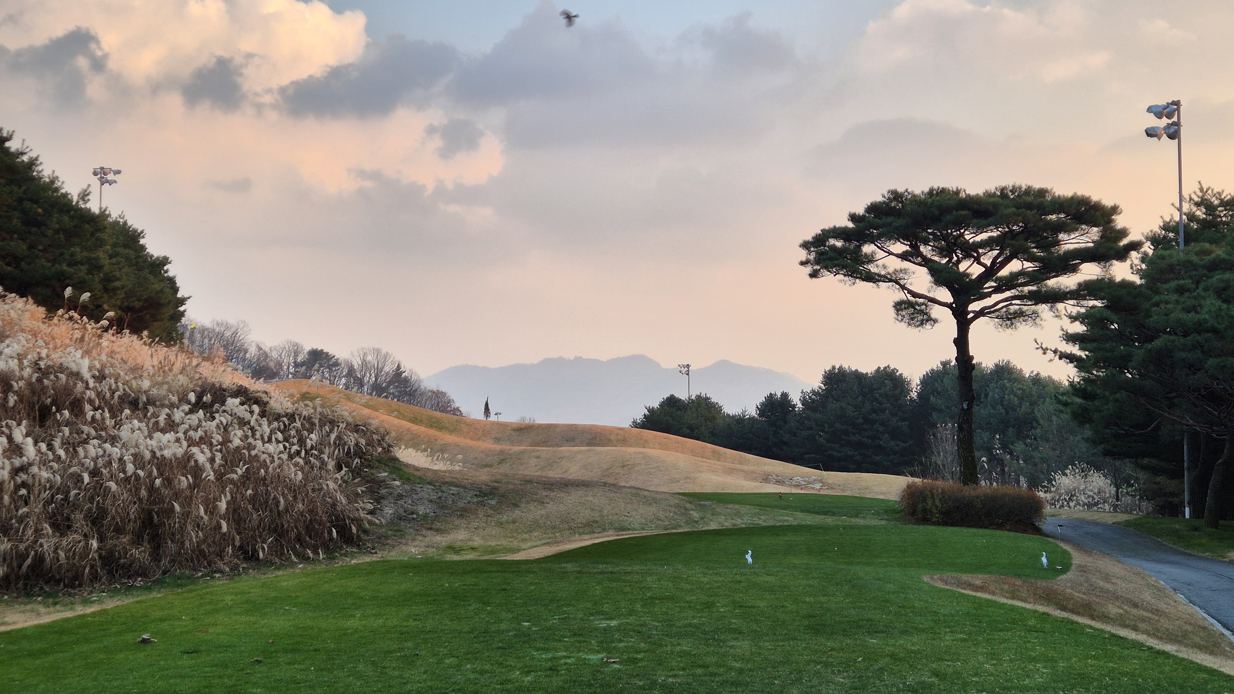 몽베르cc 가을-겨울 코스 사진 및 공략 정보