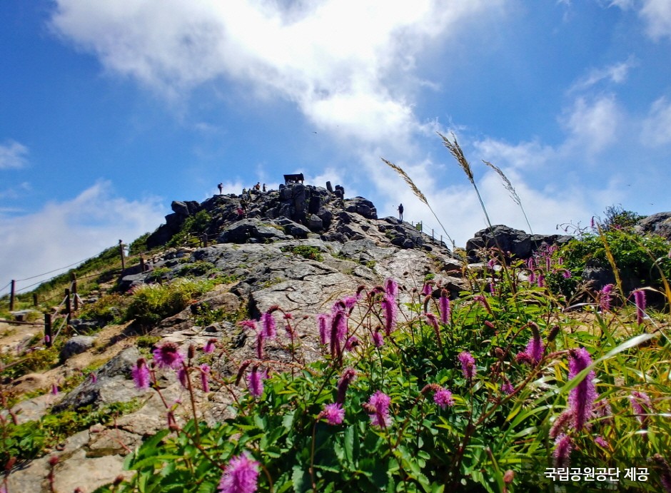 산청 가볼만한곳 베스트10