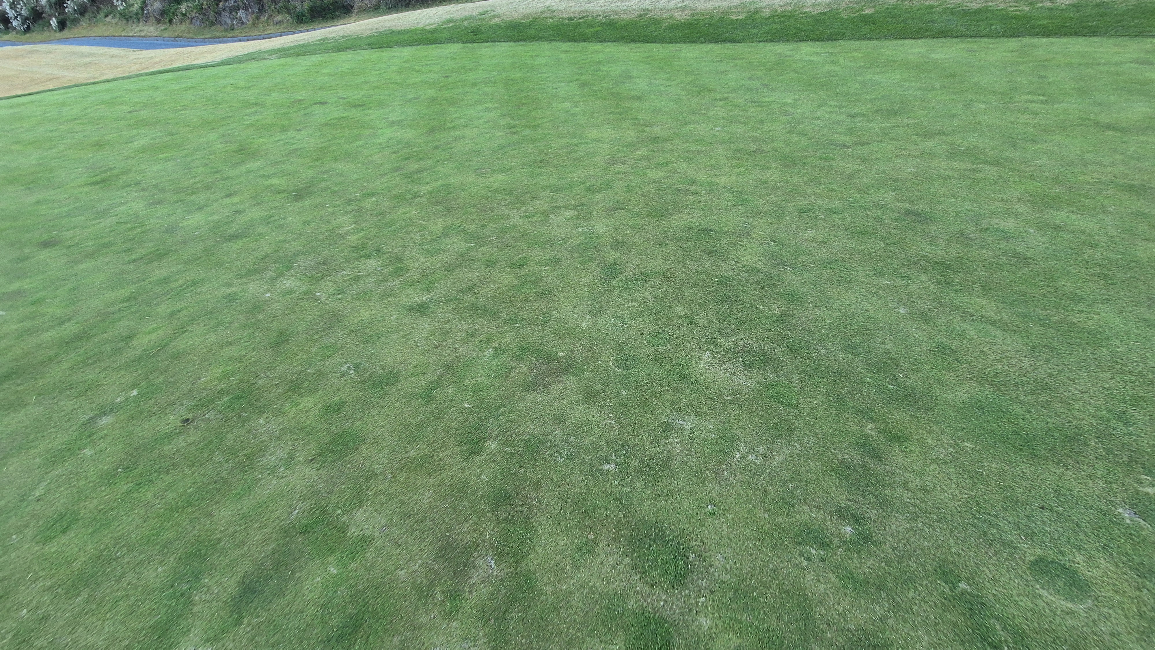 레이캐슬cc 그린관리상태