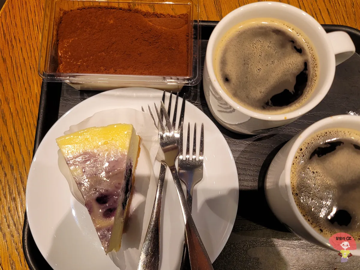 스타벅스-블루베리-마블-치즈-케이크와-레이디-핑거-티라미수와-핫아메리카노