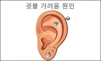 귓볼 가려움 원인