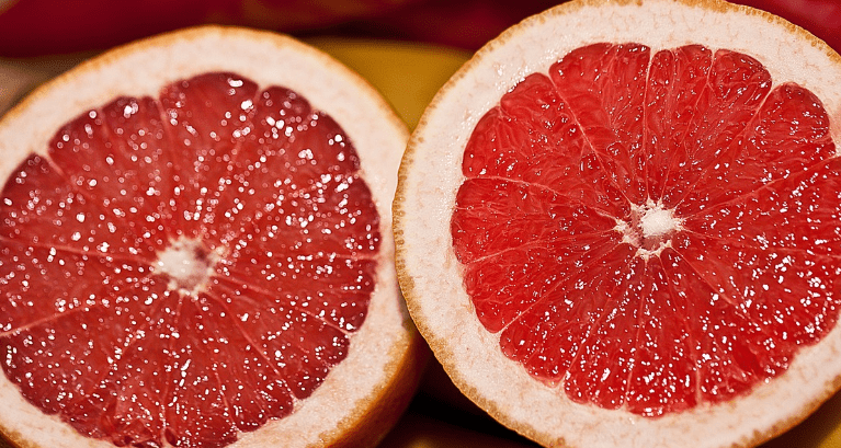 내장 지방 빼는 음식 자몽