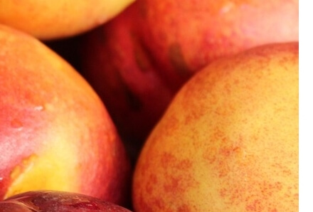 천도복숭아효능