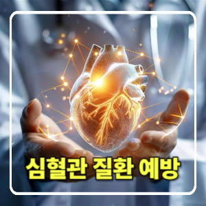 심혈관 질환 예방을 위한 생활습관과 식품