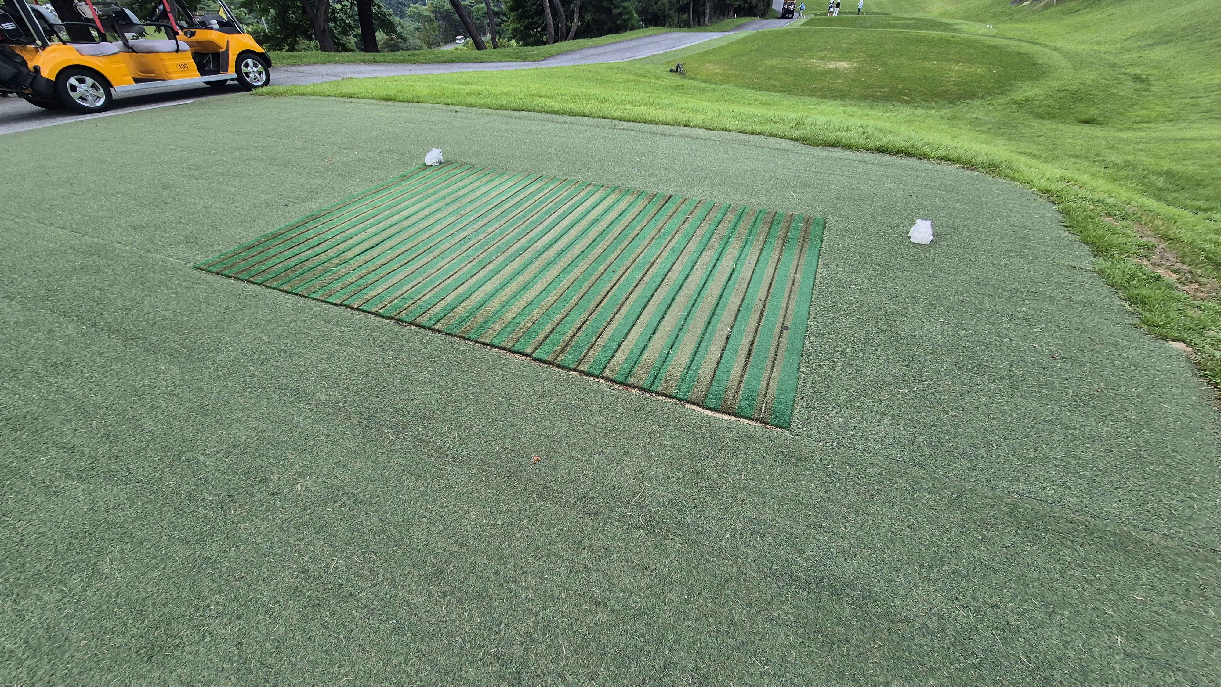 대영힐스cc 청-력 코스 라운드 후기