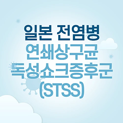 일본-전염병-주의-연쇄상구균-독성쇼크증후군-예방수칙