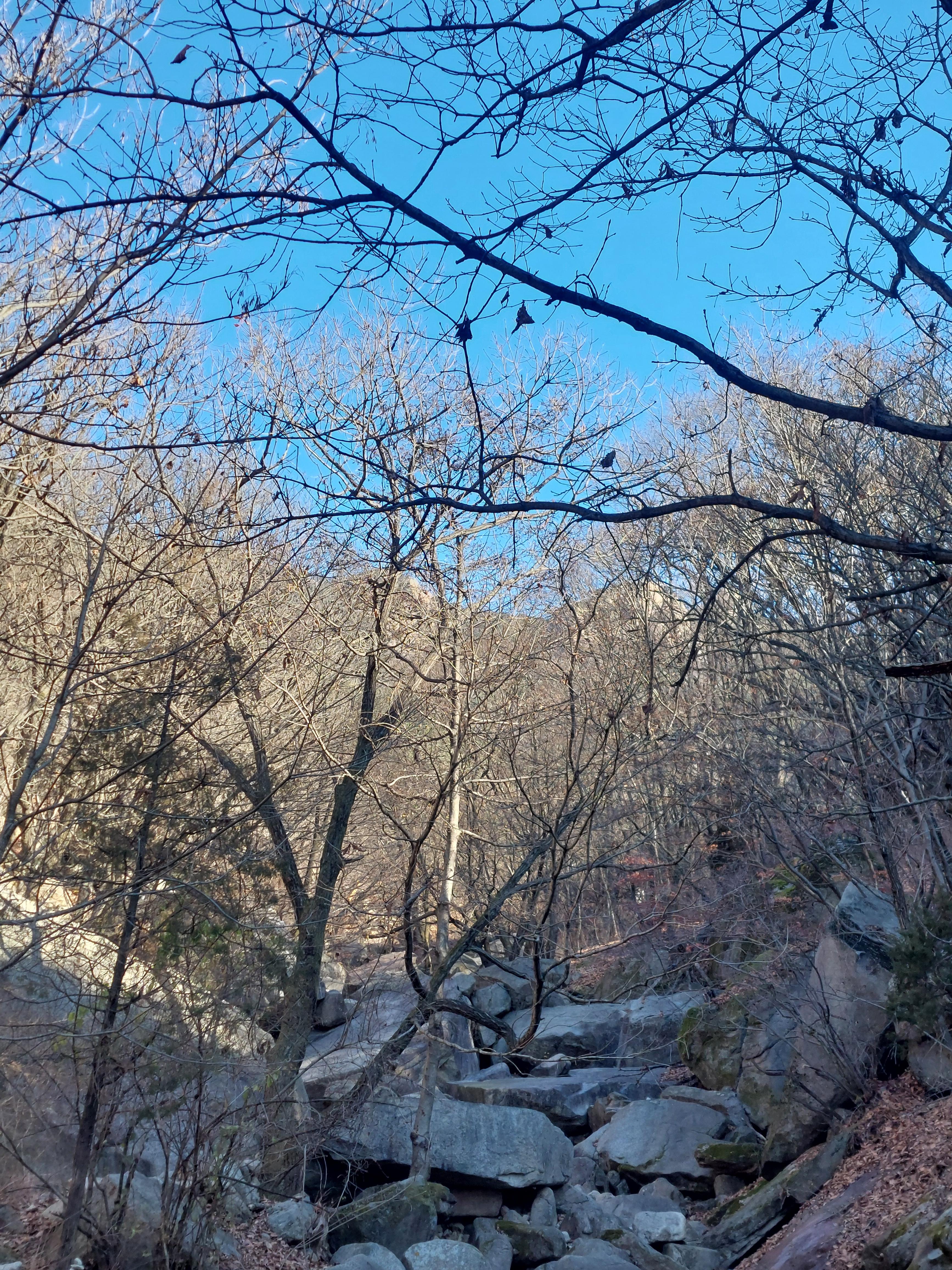 수락산