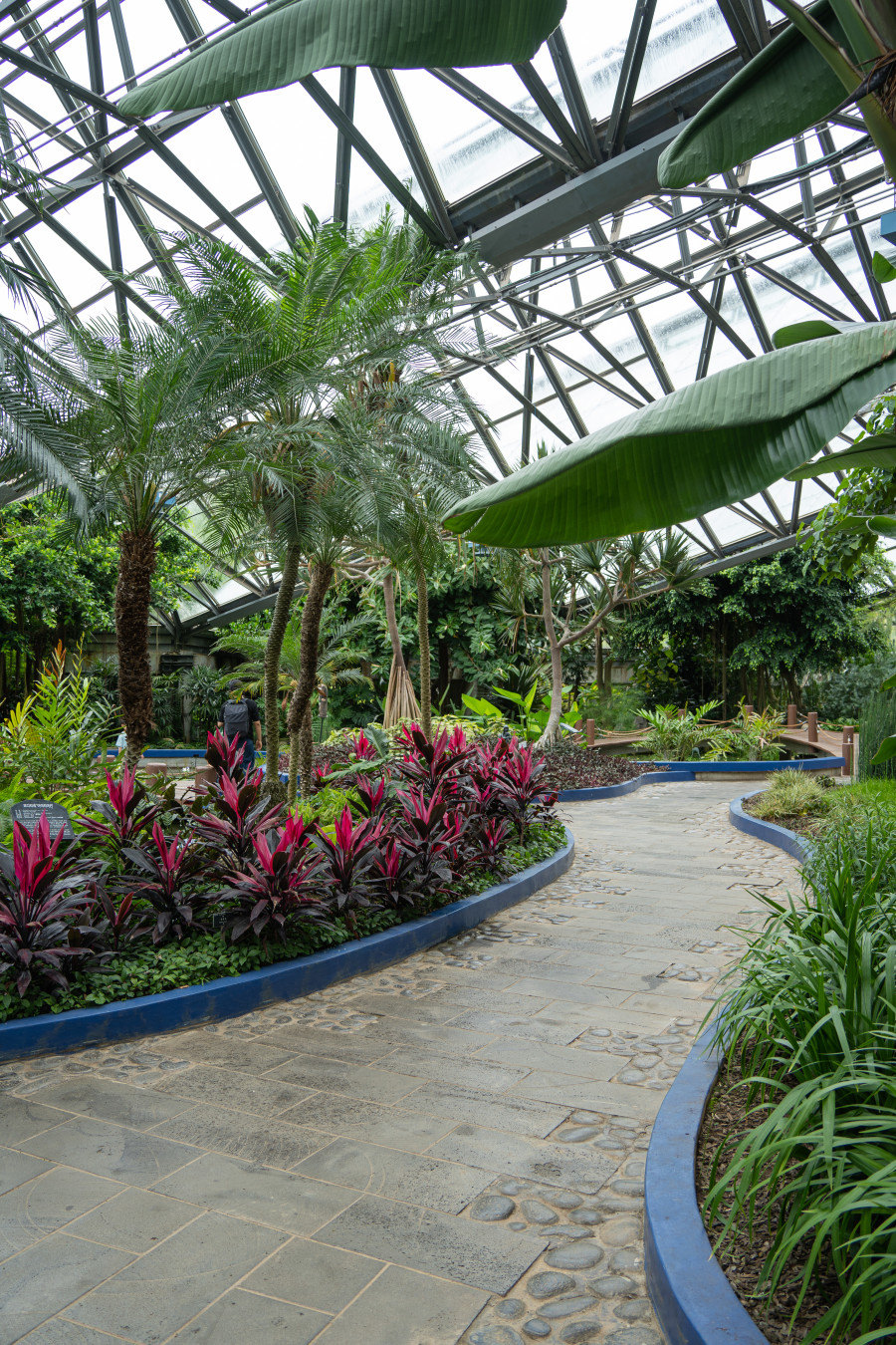 여미지 식물원 물의정원