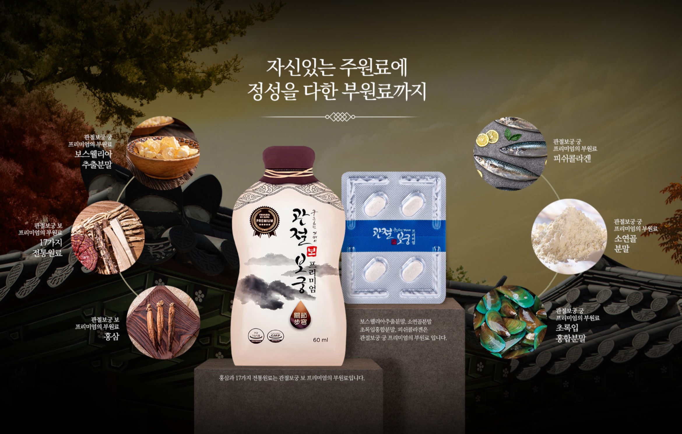 관절보궁 제품정보 정리