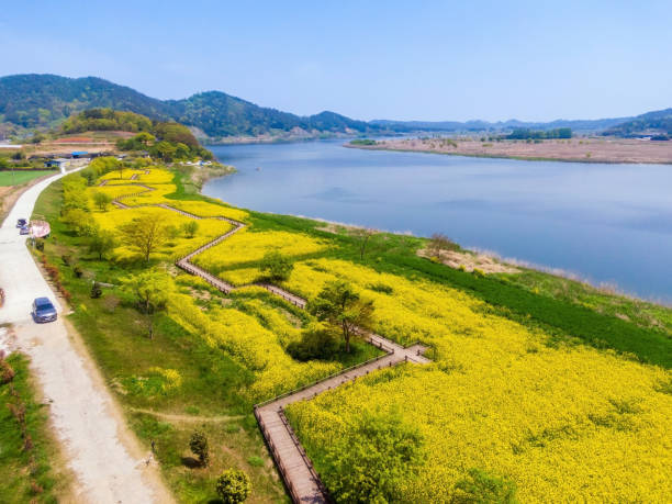 한빛 파크골프장 예약