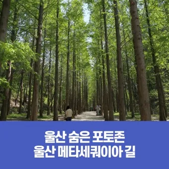 걷기 좋은 명품 숲길 50선 전국 서울 경기_17