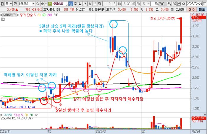 2월 24일 MDS테크 일봉 차트