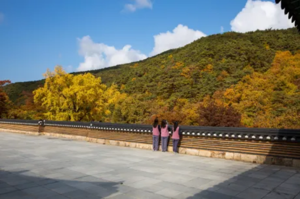 고운사에서 바라본 가을 산사 풍경