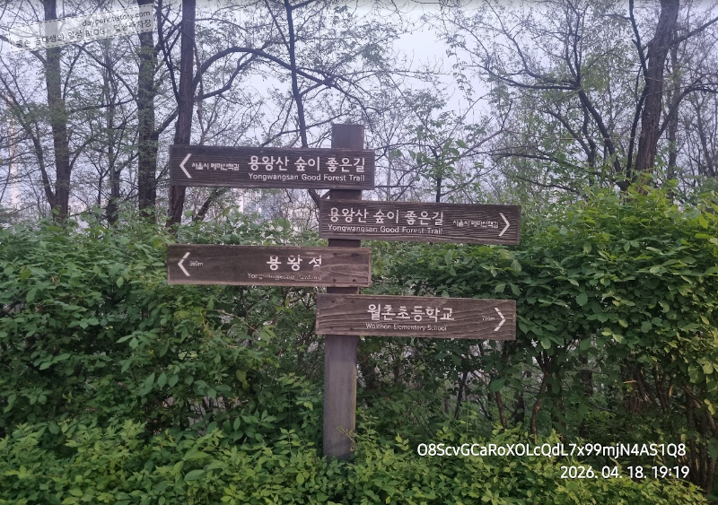 용왕산 다목적 구장에서 스카이워크 가는 방향