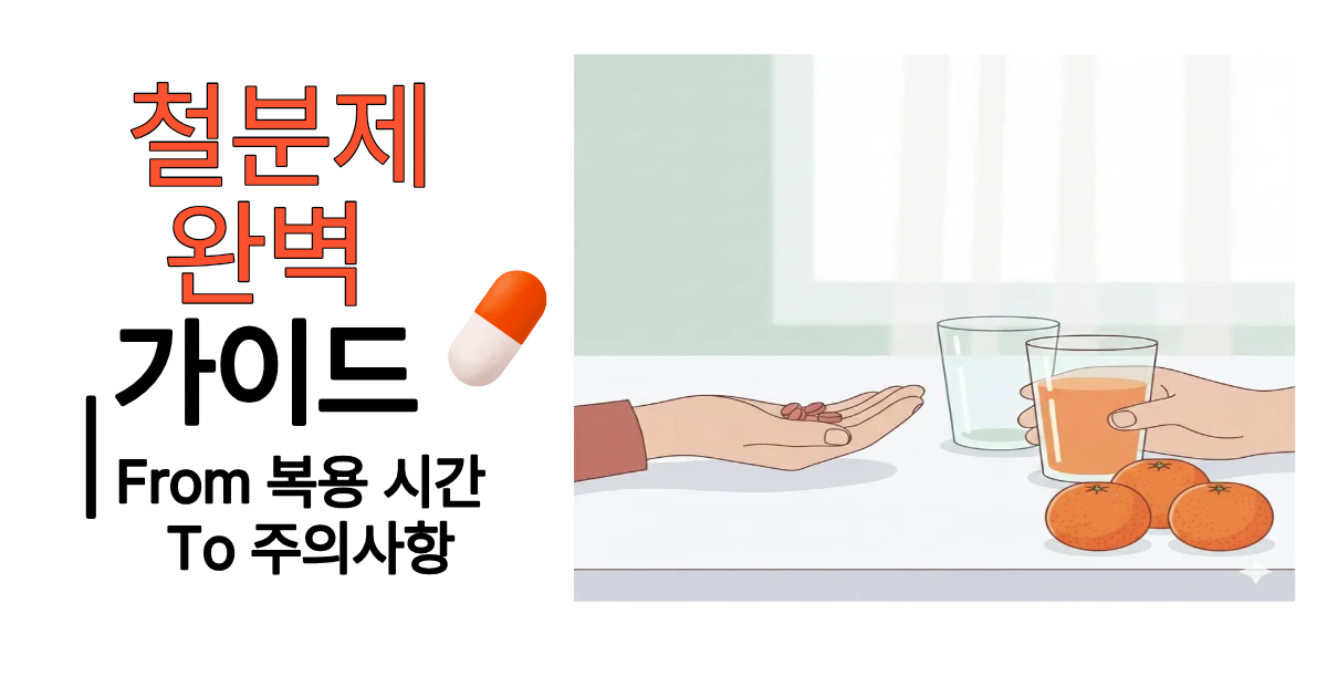 철분제 제대로 먹는 법