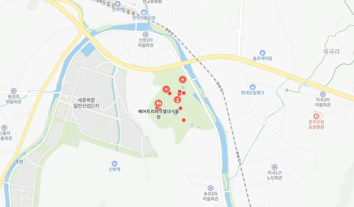 베어트리파크 단풍축제