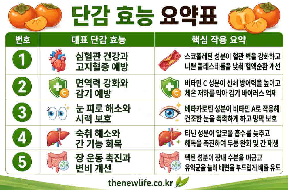 단감 효능 요약표