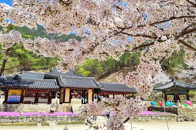  청평사 &ndash; 천년 역사를 간직한 사찰에서 봄맞이 힐링