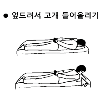 골다공증 검사 비용